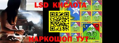 молекула духа Бердск