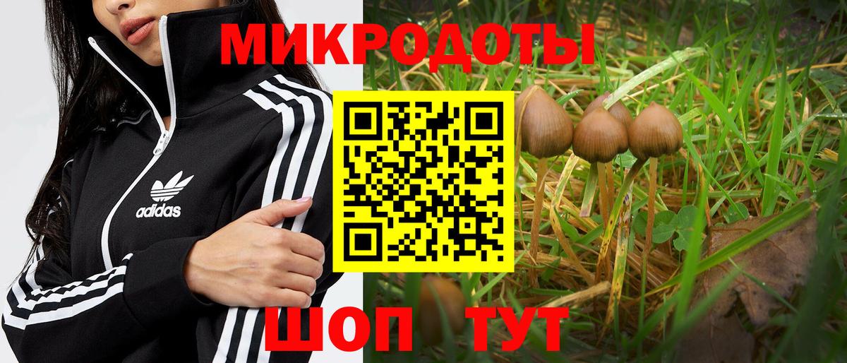 Псилоцибиновые грибы MAGIC MUSHROOMS  Галлюциногенные грибы Cubensis  Большой Камень  Вход с VPN 