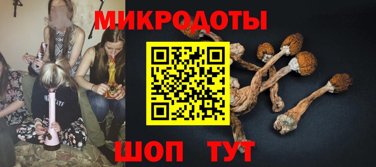 Галлюциногенные грибы ЛСД Большой Камень